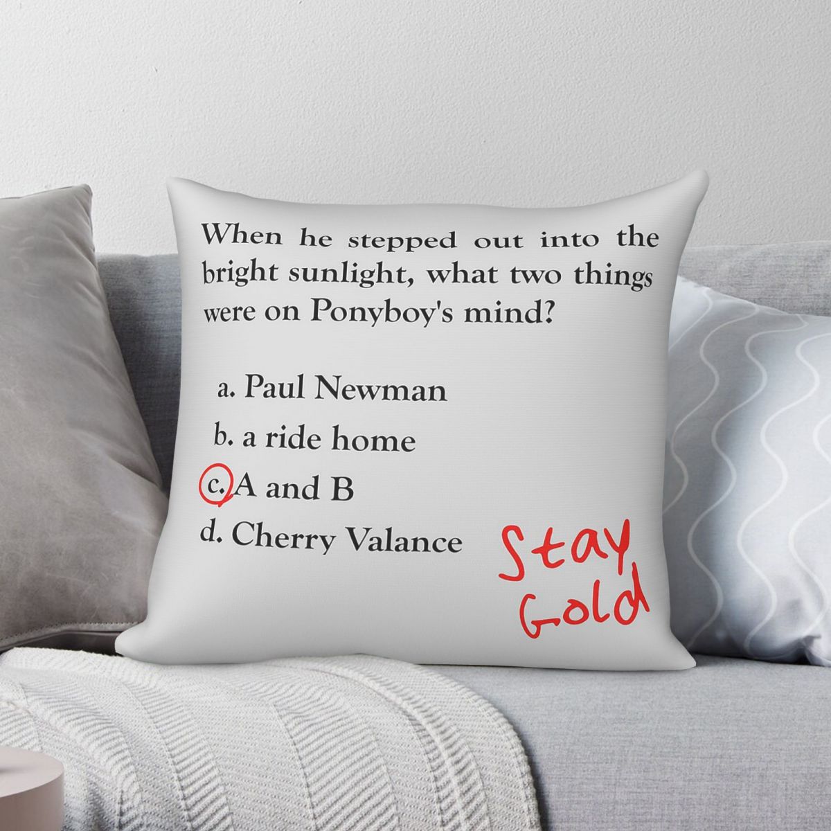 Home Decor Quiz - Outsiders Ponyboy Quiz Question Square Pillowcase