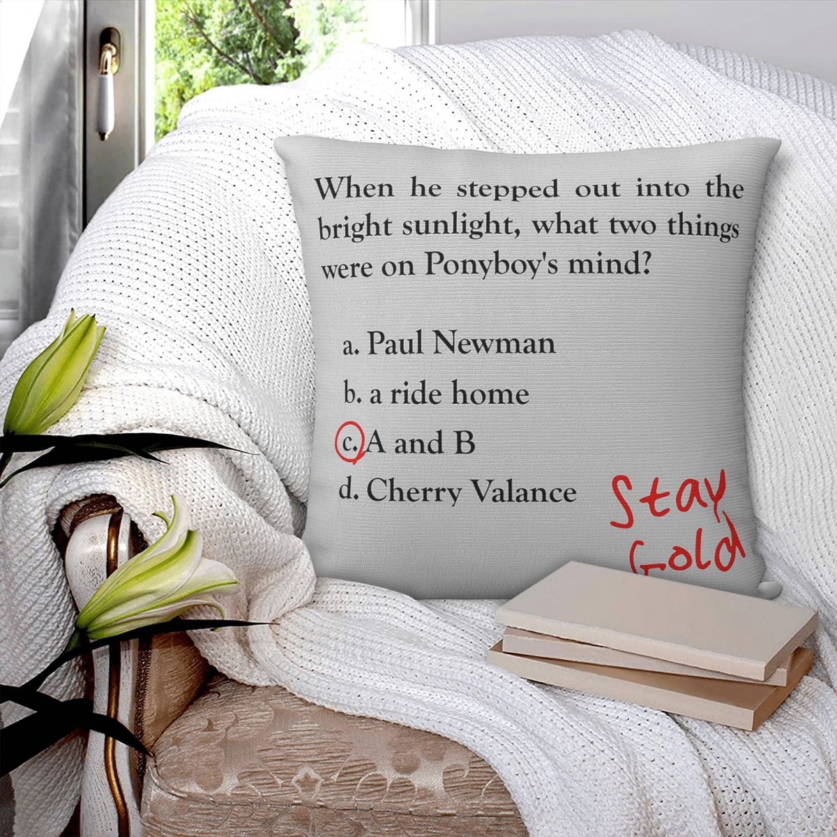 Outsiders Ponyboy Quiz Questio - Home Decor Quiz ulasan dan harga