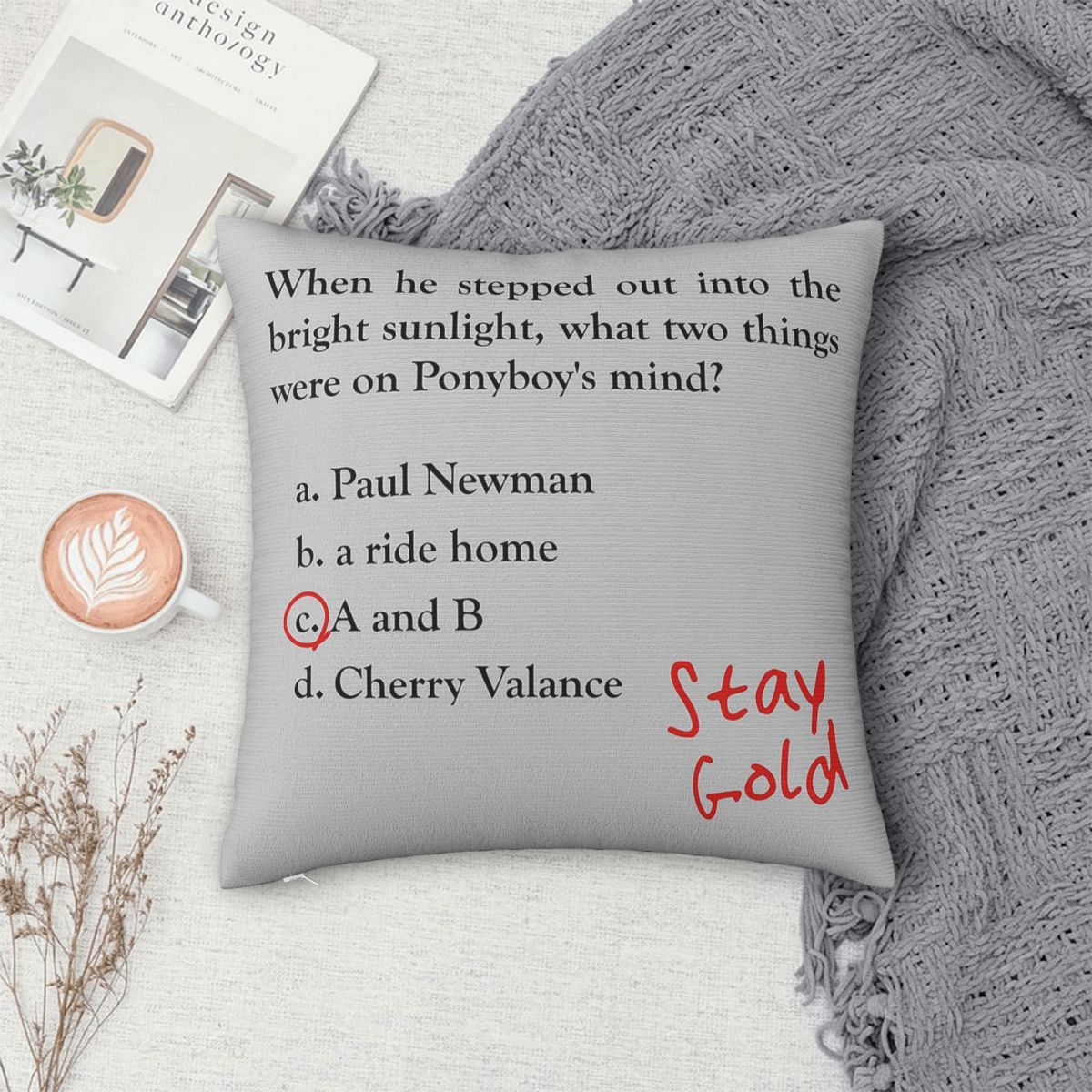 Outsiders Ponyboy Quiz Questio - Home Decor Quiz ulasan dan harga